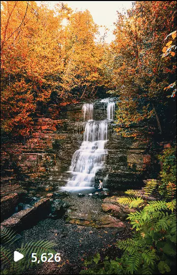 a waterfall in a forest with lots of trees with fall colours