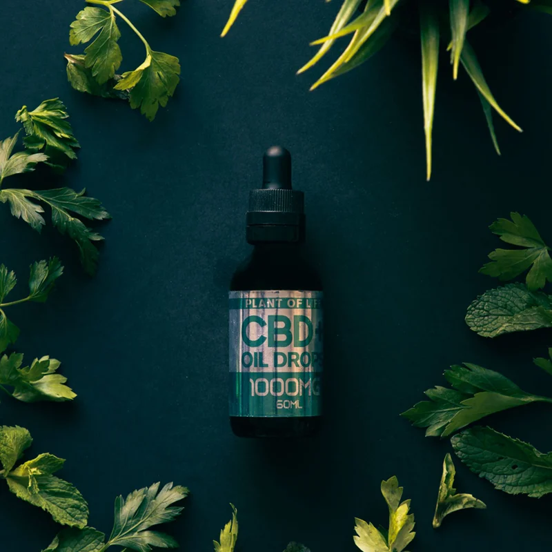 CBD oil surrounded by green leaves