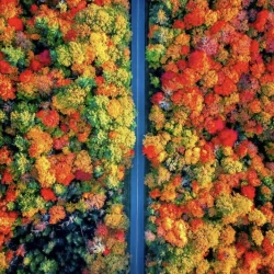 Magical Fall colours from above in Canada
