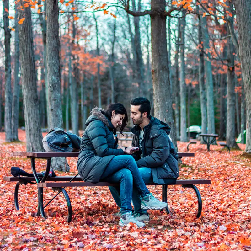 Couple sitting on a bench in Gatineau Park during Fall Season